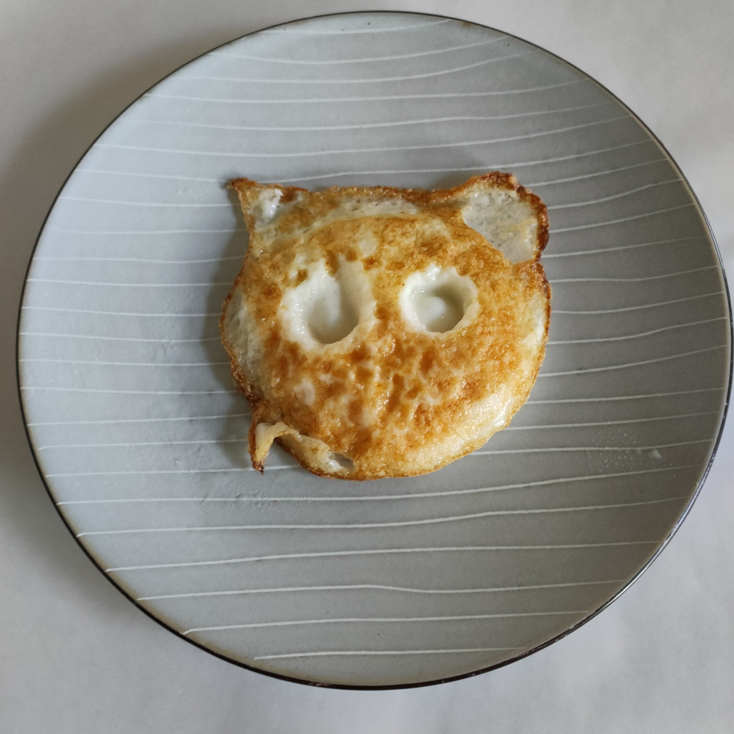 煎蛋猫猫头